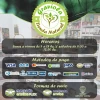 Matcha Puro Terra Verde 100gr - Graviola - Imagen 4