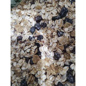 Granola sin azúcar 1 KG